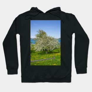 Flower meadow with fruit trees in spring, Bad Wiessee, Tegernsee Hoodie